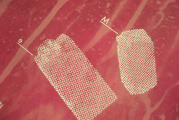 silkscreen-printing